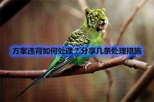 方案違背如何處理？分享幾條處理措施