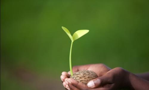 如何成為一名優(yōu)秀的CRC？分享CRC快速成長秘籍(圖1)