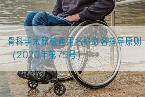骨科手術器械通用名稱命名指導原則（2020年第79號）(圖1)