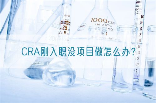 CRA剛?cè)肼殯]項目做怎么辦？(圖1)