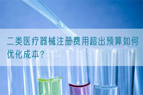 二類(lèi)醫(yī)療器械注冊(cè)費(fèi)用超出預(yù)算如何優(yōu)化成本？(圖1)