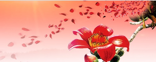 廣東注銷(xiāo)4個(gè)產(chǎn)品的醫(yī)療器械注冊(cè)證（2020年第60號(hào)）(圖1)