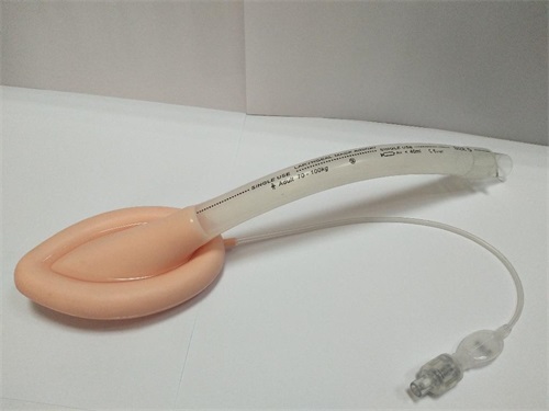 一次性使用醫(yī)用喉罩注冊技術(shù)審查指導原則（2018年修訂）（2018年第107號）(圖1)