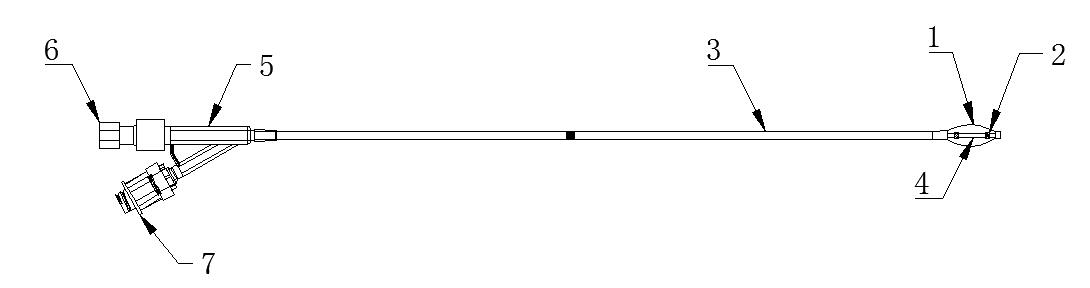 椎體成形球囊擴(kuò)張導(dǎo)管注冊(cè)技術(shù)審查指導(dǎo)原則(2020年第31號(hào))(圖2) 椎體成形球囊擴(kuò)張導(dǎo)管注冊(cè)技術(shù)審查指導(dǎo)原則(2020年第31號(hào))(圖2)