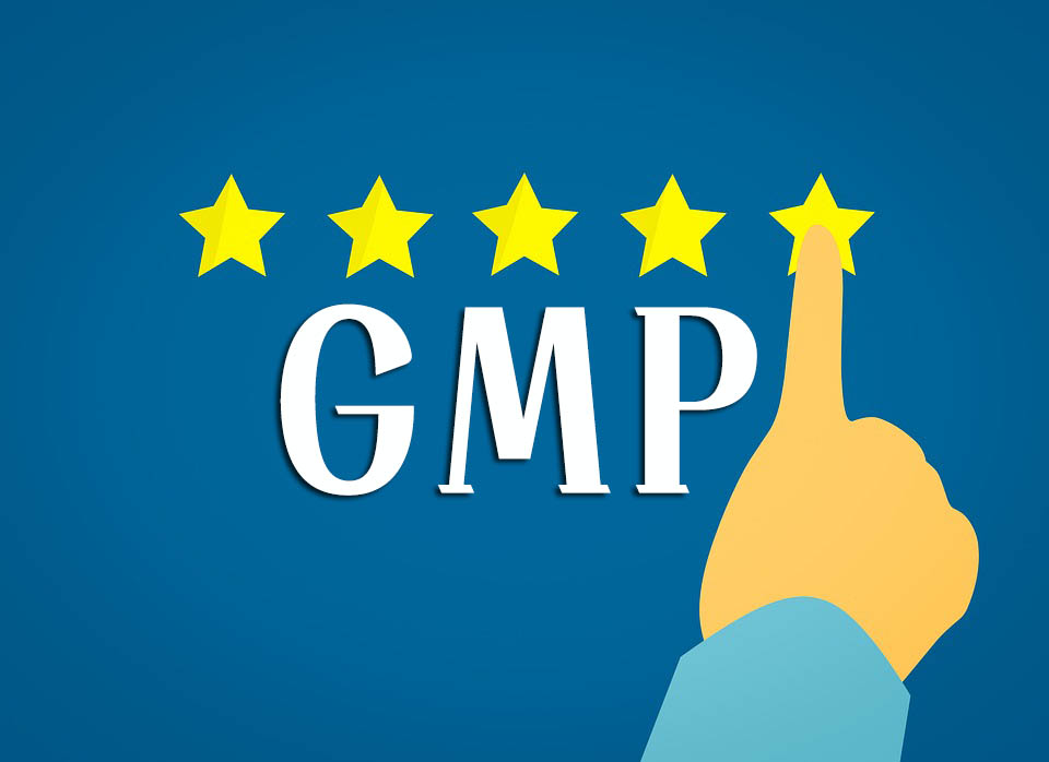 GMP知識(shí)手冊(cè)匯總（GMP專(zhuān)員、企業(yè)生產(chǎn)質(zhì)量負(fù)責(zé)人必備）(圖1)